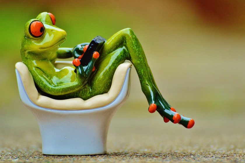 frog relaxing on a white chair